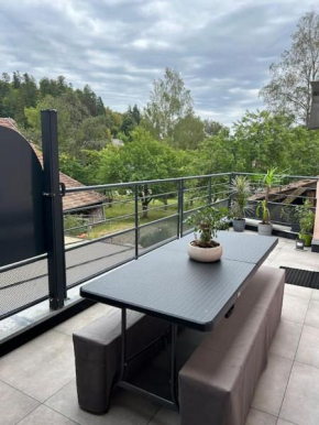 Appartement Hohwald terrasse 101